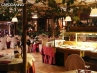 crazy_jungle_5